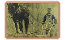 Horse drawn plough